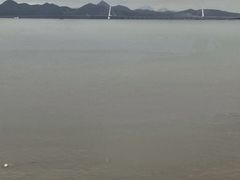 -深圳湾公园(南山区)