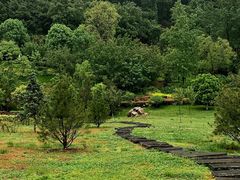 -长安文化生态公园