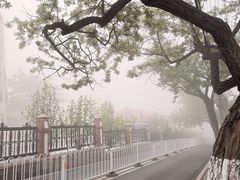 -青岛市江苏路基督教堂