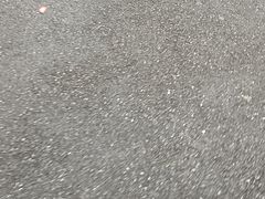 -巢爷老味(东方红店)