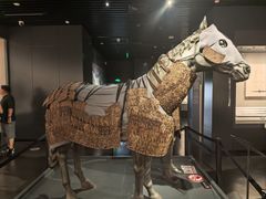 -徐州博物馆