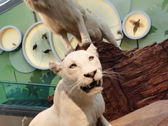 -陕西自然博物馆