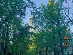 -青岛第三海水浴场