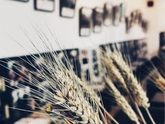 -三味书屋(复兴门内大街店)