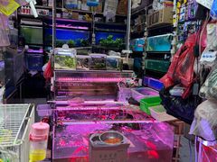 -双季花艺园艺市场(浦东店)