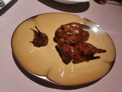 金牌妙龄乳鸽-新荣记(南京西路店)
