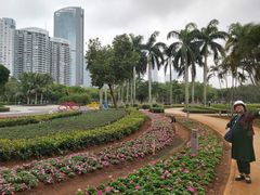 -万绿园
