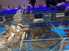-加餐海鲜自助餐厅(福清万达店)