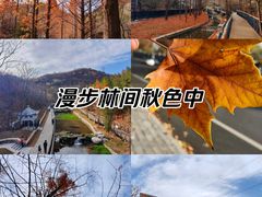 -白水寺森林公园