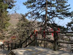 -塔云山