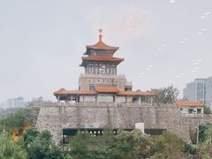 -教师之家赵家羊汤馆(东青龙街店)