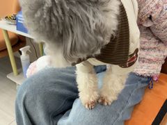 -申普宠物医院·眼科·心内科·影像科(普陀分院)
