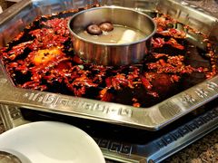 -绵阳森林雨鸭肠王火锅城(丽景花城店)