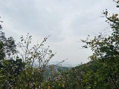 -白云山风景名胜区