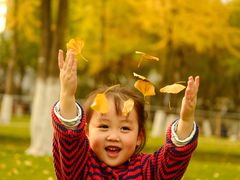 -重庆市江北嘴中央商务区中央公园