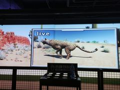 -VS SPORTS PARK运动玩乐园·团建·生日会(合生汇店)