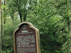 -龙苍沟森林公园