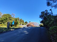 -怀托摩萤火虫洞