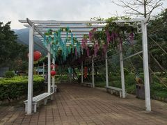 -牛鱼嘴原始生态风景区
