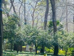 -杭州张苍水先生祠