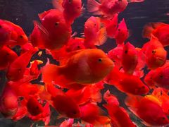 -常州海昌海洋探索馆