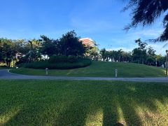 -宝安西湾红树林湿地公园