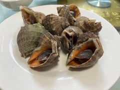原味海螺-景祥海鲜美食餐厅
