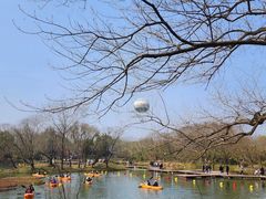 -西溪国家湿地公园