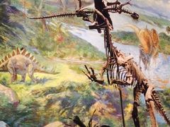 iphone_upload_pic-自贡恐龙博物馆