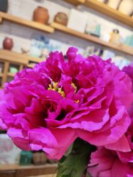 -今日陶艺(富力广场店)