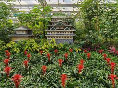 -南宫五洲植物乐园