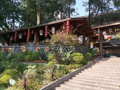 -黄龙溪古镇