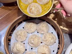 -莱莱小笼·乔艾