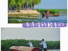 -白洋淀景区
