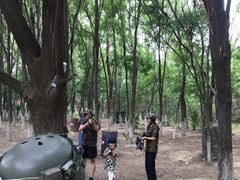 -亲兄弟真人CS团建拓展基地
