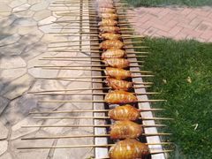 -凤凰岭蒙古包风味餐厅