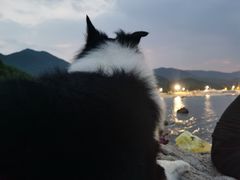 -西涌国际滨海旅游区