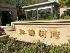 -新江湾城公园