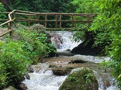 -莫里热带雨林景区