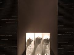 -上海柏悦酒店