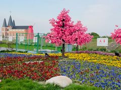 -鹅湖玫瑰文化园