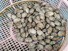 -双福水果批发市场