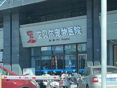 -艾贝尔宠物医院·24H转诊中心·肿瘤猫专科(江宁双龙店)
