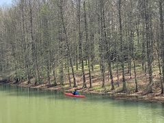 -上海海湾国家森林公园