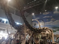 -自贡恐龙博物馆