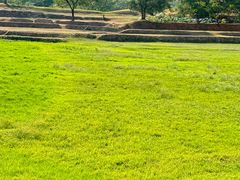 -盘龙城国家考古遗址公园