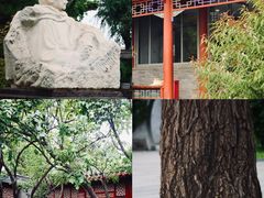 -北京鲁迅博物馆(北京新文化运动纪念馆鲁博馆区)