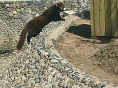 -鄂尔多斯野生动物园