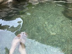 -河源客天下-温泉小镇
