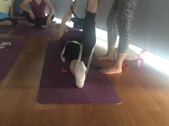 -一兆韦德健身(慧芝湖店)